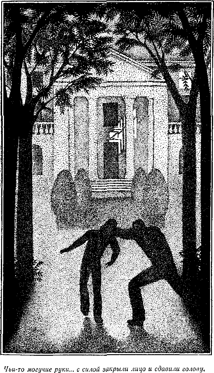 Посол без верительных грамот i_010.png