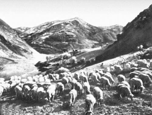 Большая Советская Энциклопедия (ЮГ) i008-pictures-001-292355942.jpg