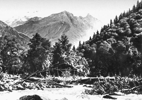 Большая Советская Энциклопедия (ЮГ) i009-001-240647072.jpg