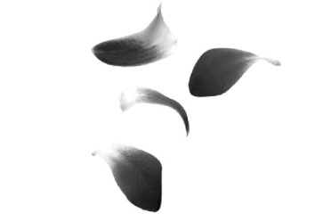 img_1.jpeg