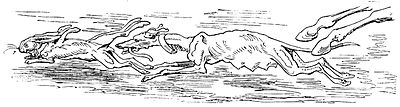 i_013.jpg