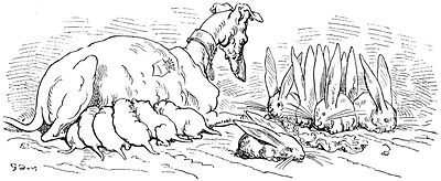 i_014.jpg
