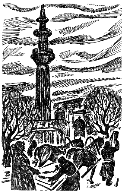 Цветы тянутся к солнцу i_008.png