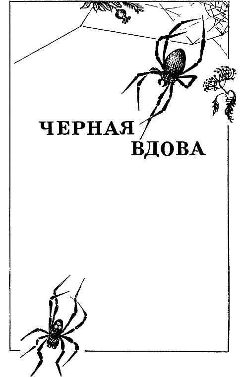Черная вдова i_002.png