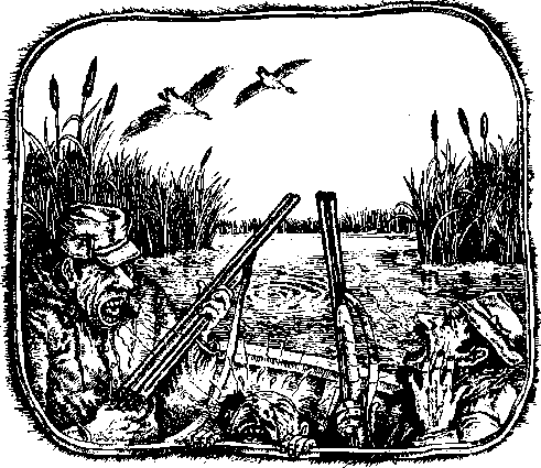 Необыкновенные приключения Арбузика и Бебешки (с илл.) pic_9.png