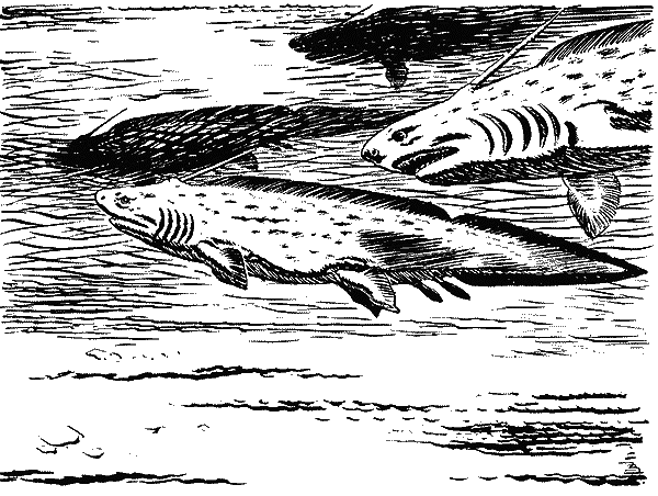 Первобытное время i_003.png
