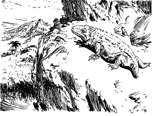 Первобытное время i_004.png