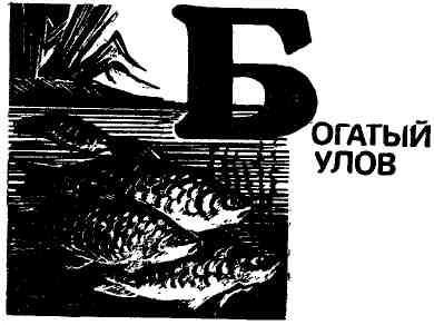 В бобровом краю img_19.jpeg