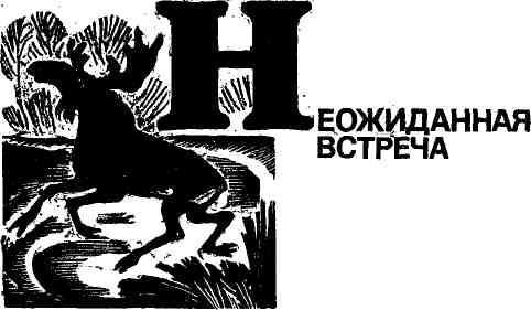 В бобровом краю img_20.jpeg
