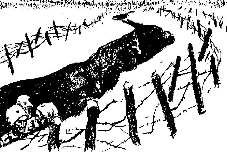 Забайкальцы (роман в трех книгах) i_008.png