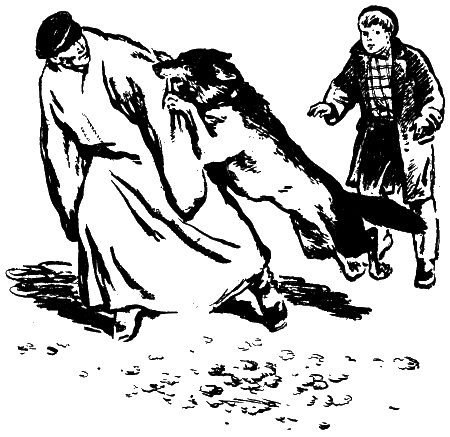 Я и Тасман i_002.png