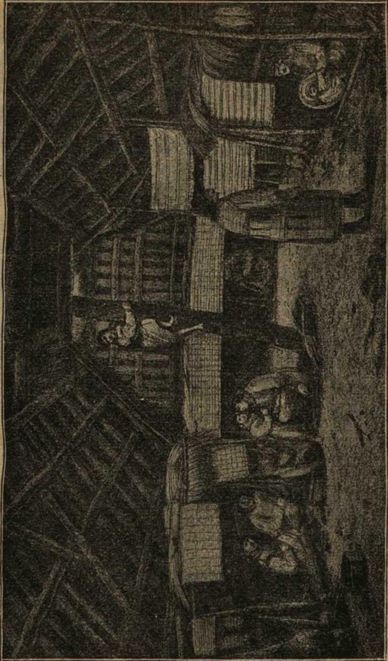 Дикари. Их быт и нравы i_017.jpg