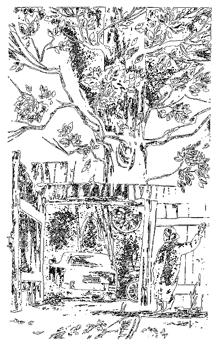Повести писателей Латвии i_009.png