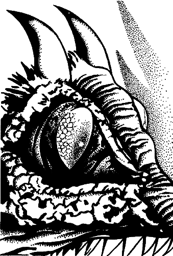 Ночь света. Отче звездный. Мир наизнанку i_008.png