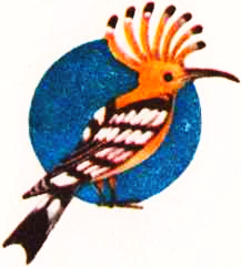 Птицы i_094.png