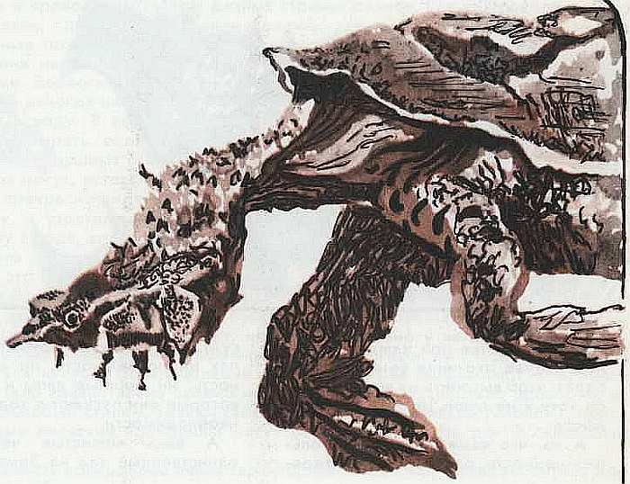 Земноводные и пресмыкающиеся i_135.jpg