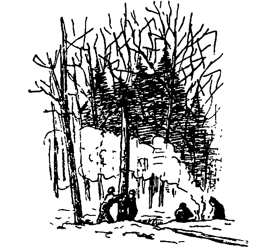 Бриодемус-музыкант i_028.png