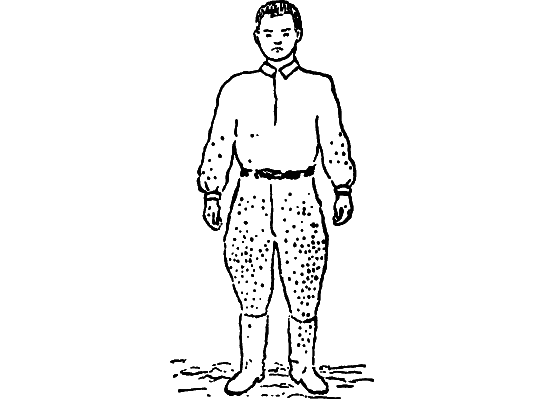 Бриодемус-музыкант i_031.png
