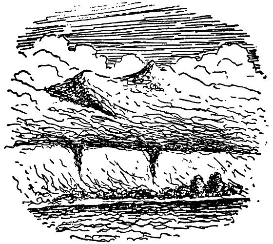Бриодемус-музыкант i_010.png