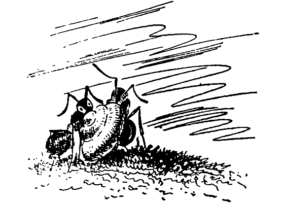 Бриодемус-музыкант i_023.png
