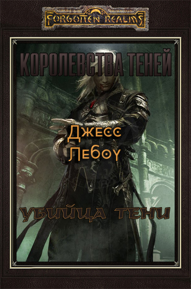 Убийца Тени cover.jpg