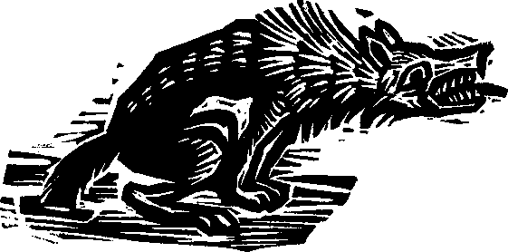 Королева Лебедь. Литовские народные сказки (с илл.) i_003.png