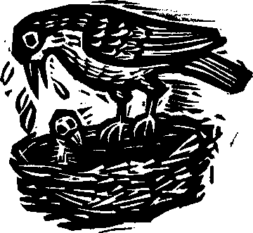 Королева Лебедь. Литовские народные сказки (с илл.) i_005.png