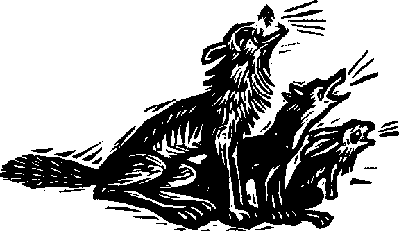 Королева Лебедь. Литовские народные сказки (с илл.) i_013.png