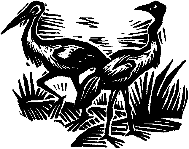 Королева Лебедь. Литовские народные сказки (с илл.) i_017.png