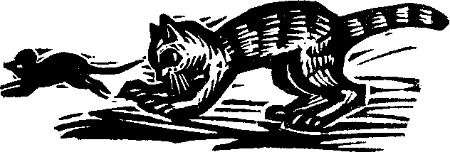 Королева Лебедь. Литовские народные сказки (с илл.) i_197.png