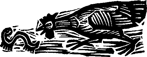 Королева Лебедь. Литовские народные сказки (с илл.) i_199.png