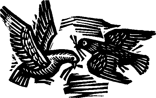 Королева Лебедь. Литовские народные сказки (с илл.) i_220.png
