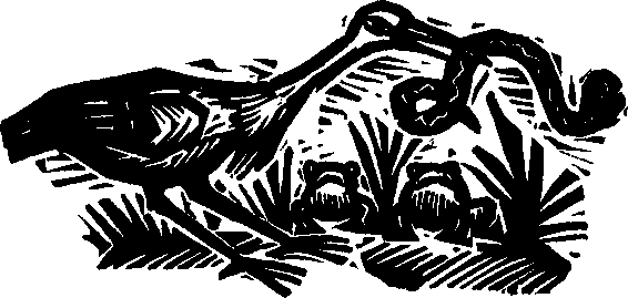 Королева Лебедь. Литовские народные сказки (с илл.) i_222.png