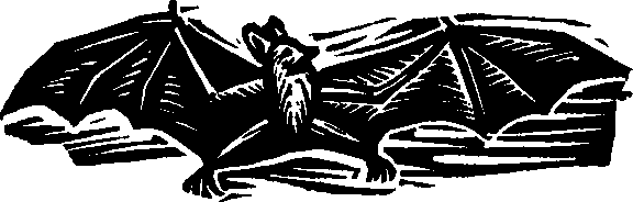 Королева Лебедь. Литовские народные сказки (с илл.) i_224.png