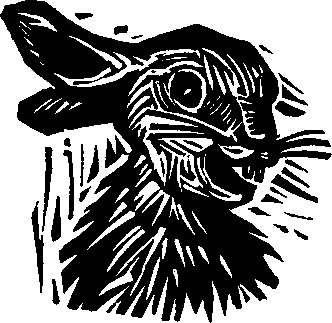Королева Лебедь. Литовские народные сказки (с илл.) i_227.png