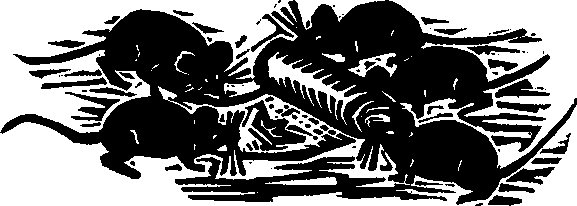 Королева Лебедь. Литовские народные сказки (с илл.) i_229.png