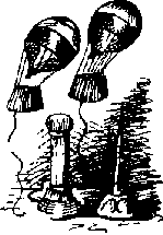 Академия пана Кляксы. Путешествия пана Кляксы pic_13.png