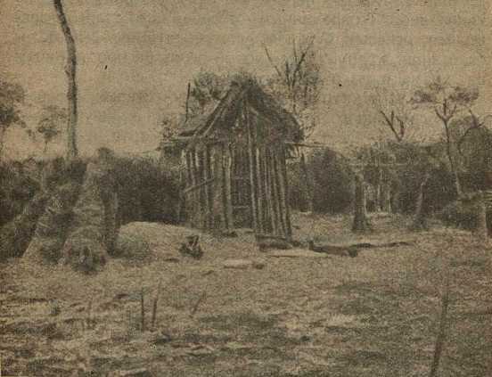 Культура бескультурных народов i_024.jpg