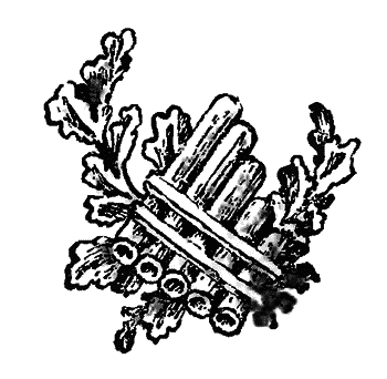 Волшебный двурог wd_168.png