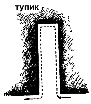 Волшебный двурог wd_12.png