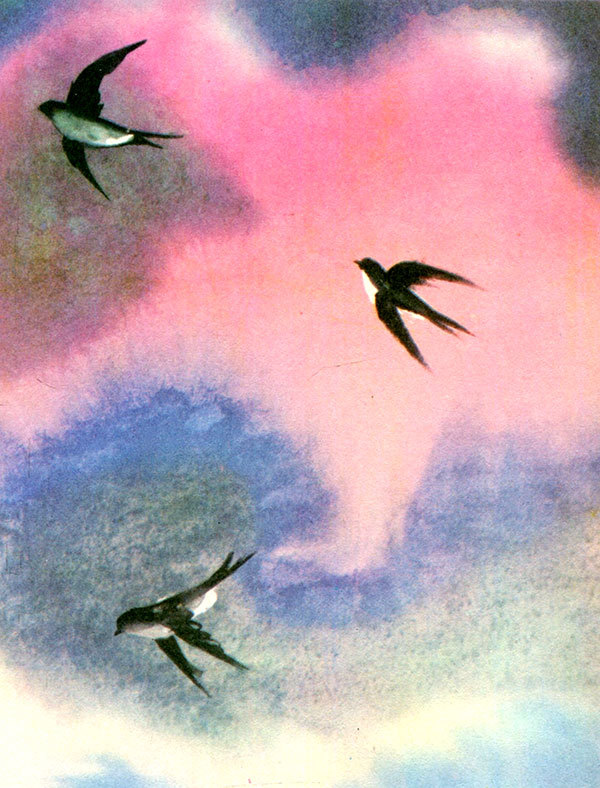 Анни Маннинен i_024.jpg