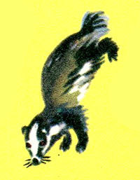 Анни Маннинен i_028.jpg