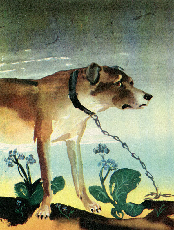 Анни Маннинен i_031.jpg
