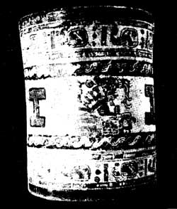 Древние майя. Загадки погибшей цивилизации i_012.png