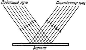 Фотография i_015.jpg