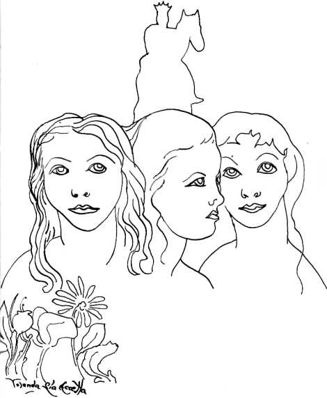 i_017.jpg