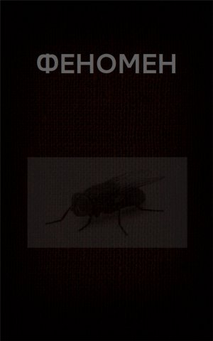 Феномен