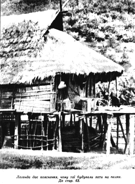 Дикі банани i_013.png