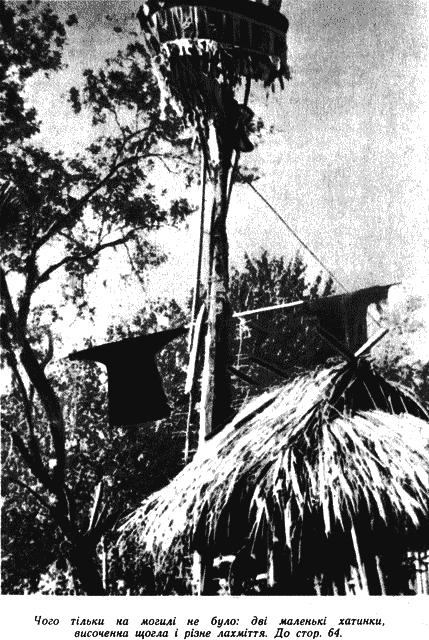 Дикі банани i_014.png