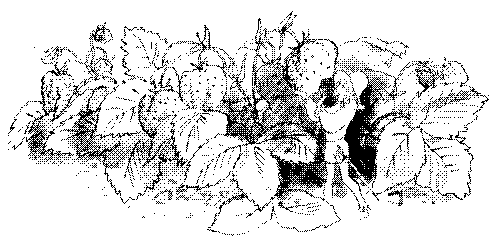 Летающий на стрекозе pic_15.png